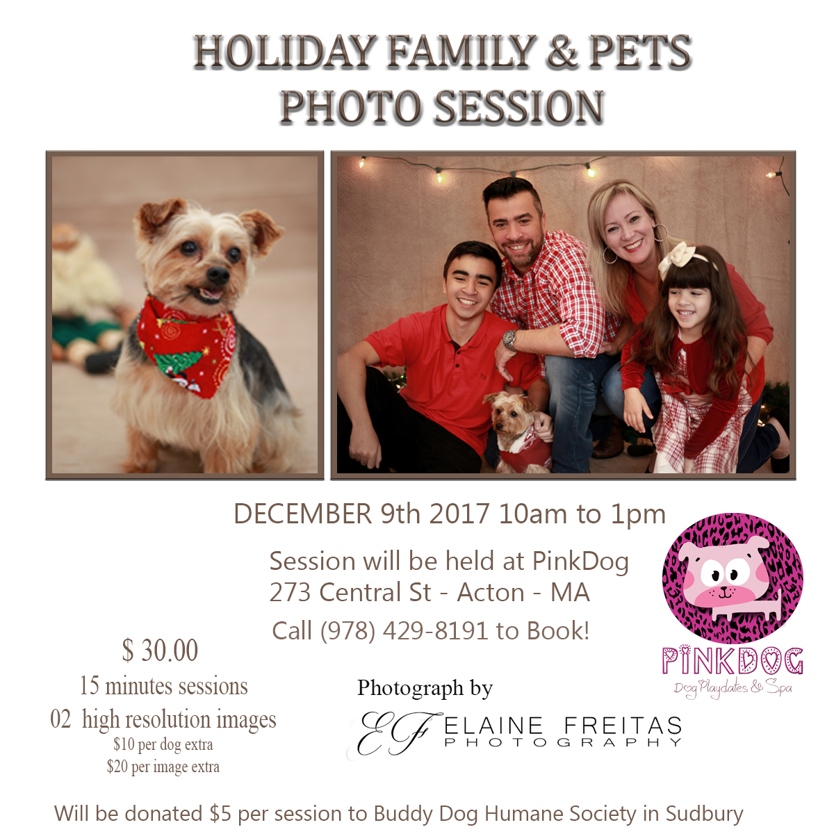 Holidays Family & Pets Picture Session